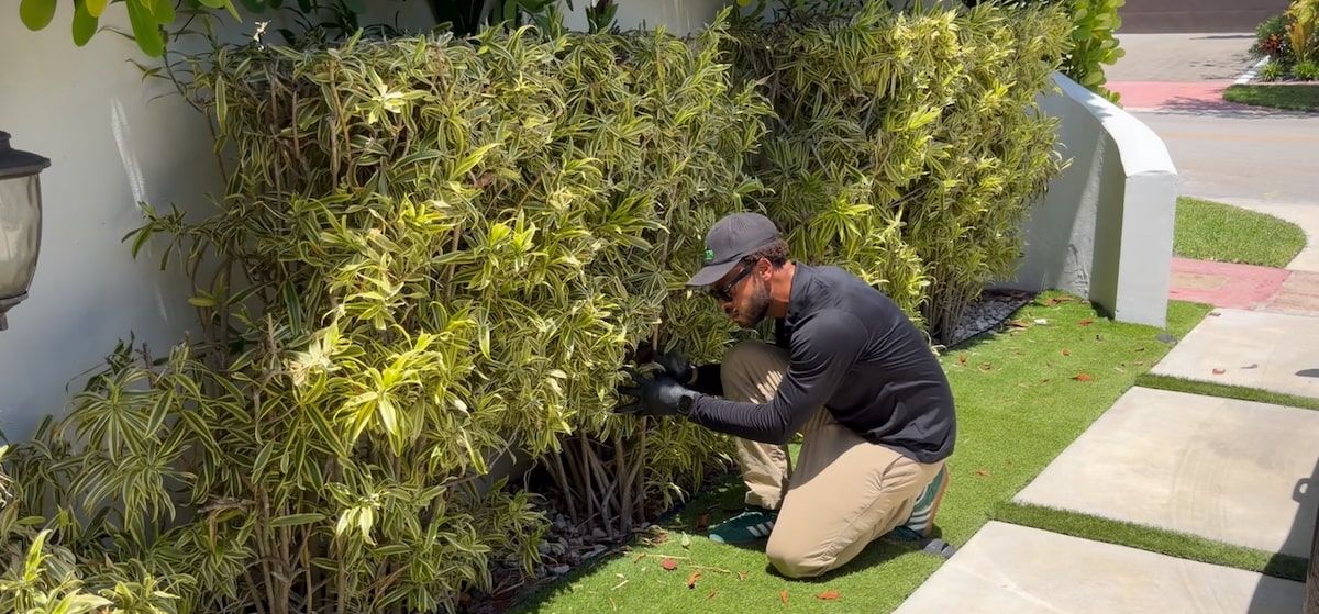 Dever Pest technician fogging a Miami backyard for mosquitoes