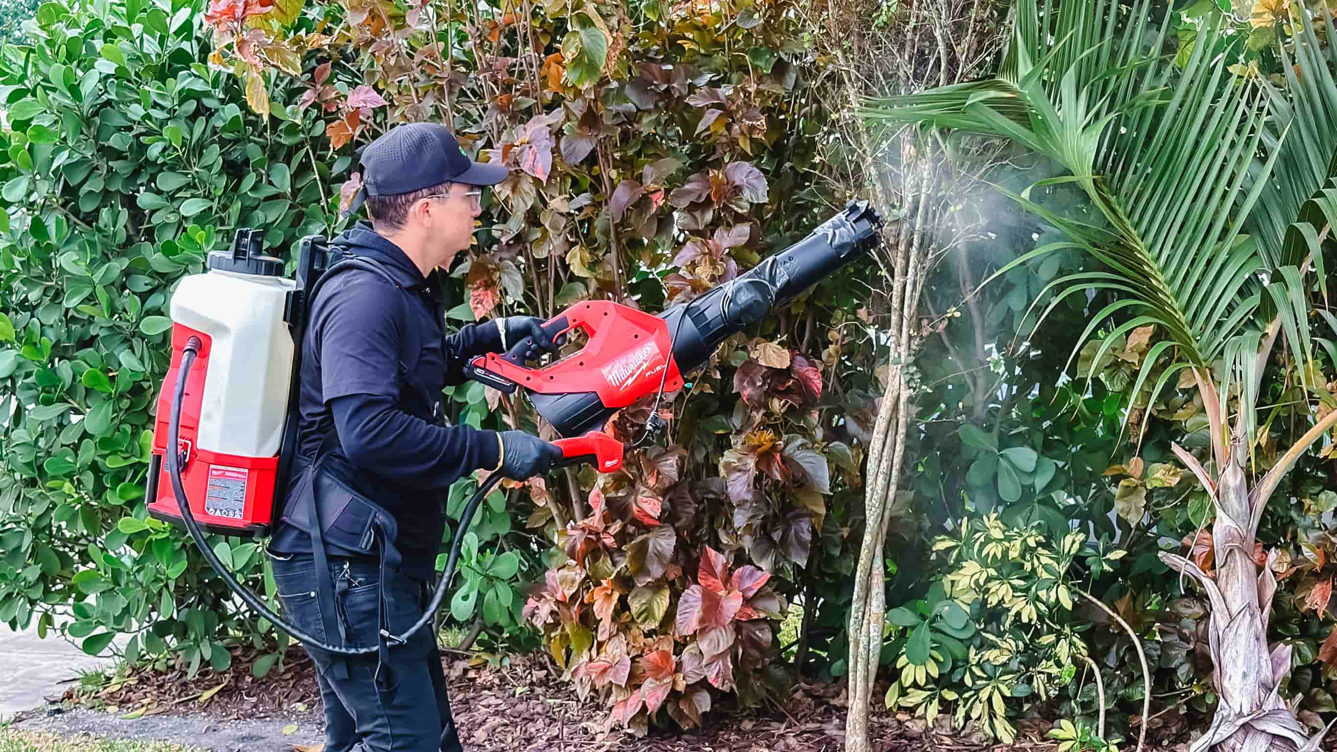 Mosquito control treatment in Miami