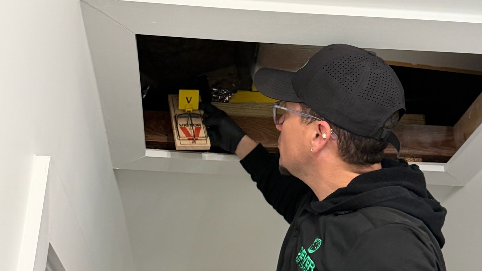 Rodent remediation and exclusion in Miami