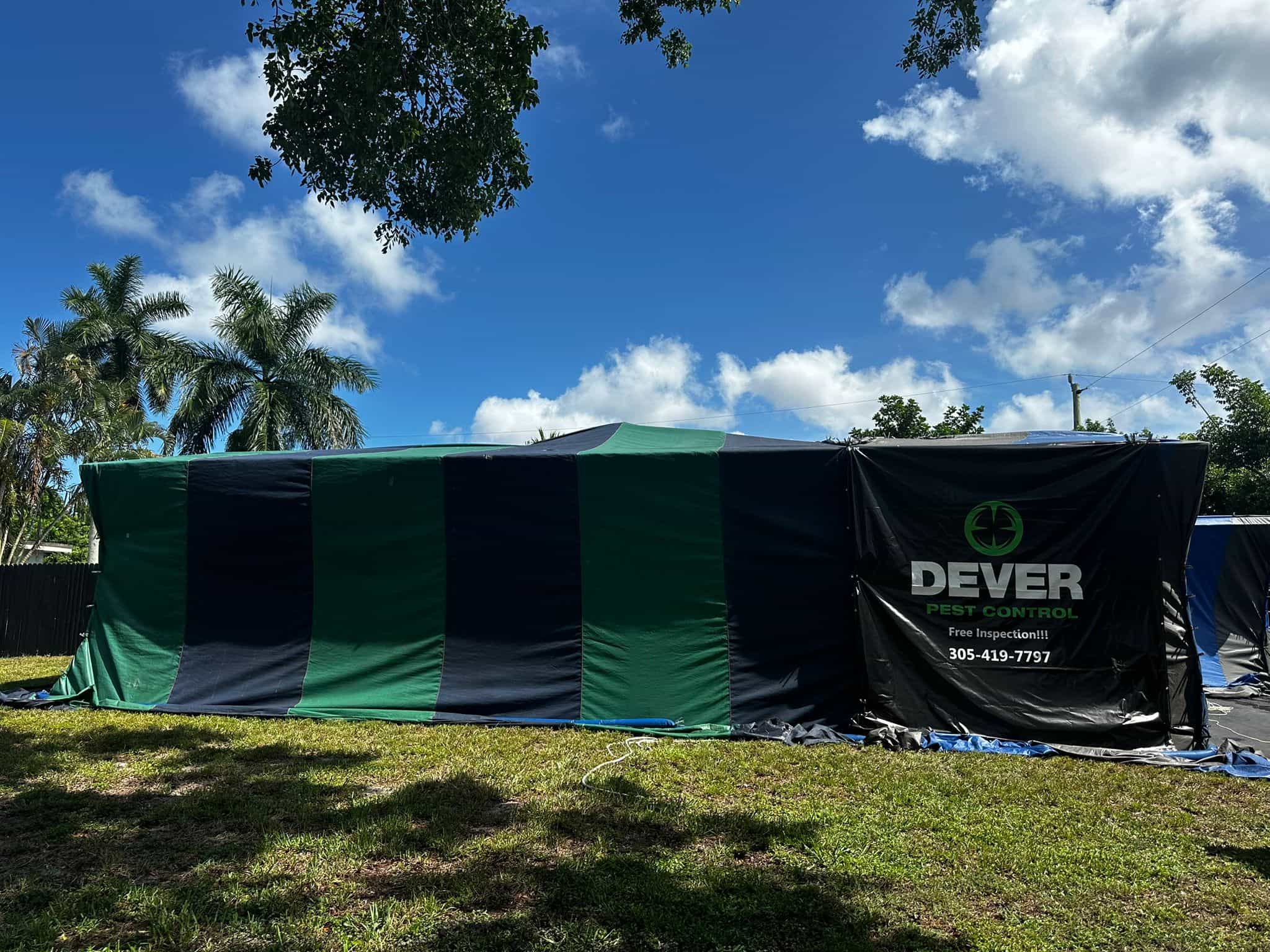 Termite inspection and treatment in Miami